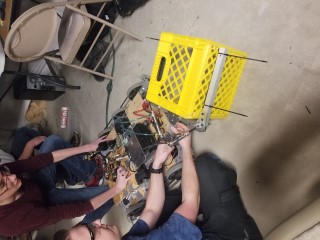 picture should be here